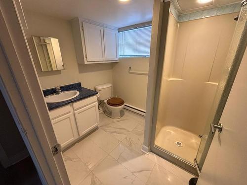 Salle de bains - 32 Rue Giffard, L'Île-Perrot, QC - Indoor Photo Showing Bathroom