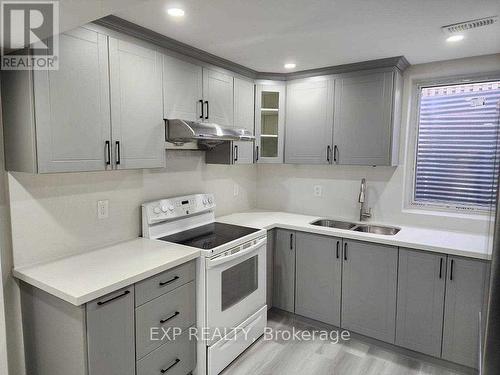 Lower - 16 Cedarwood Crescent, Brampton, ON - Indoor Photo Showing Kitchen With Double Sink