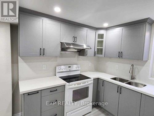 Lower - 16 Cedarwood Crescent, Brampton, ON - Indoor Photo Showing Kitchen With Double Sink