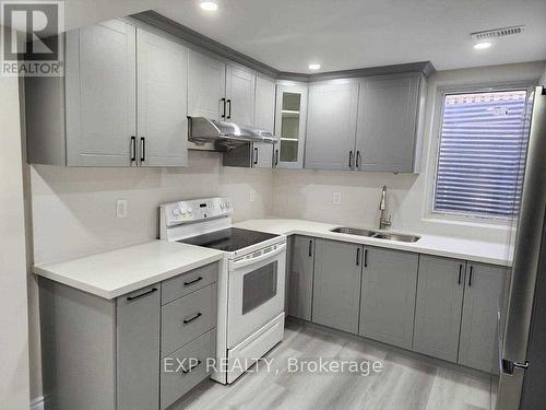 Lower - 16 Cedarwood Crescent, Brampton, ON - Indoor Photo Showing Kitchen With Double Sink