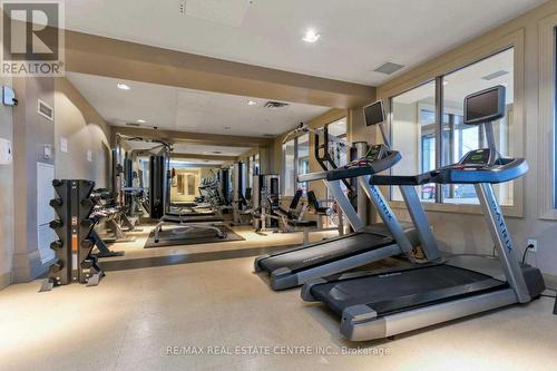 Gt#102 - 388 Prince Of Wales Drive, Mississauga, ON - Indoor Photo Showing Gym Room