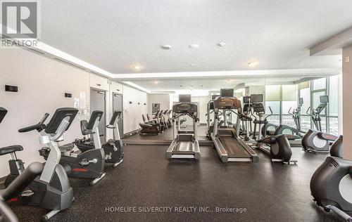 2008 - 4099 Brickstone Mews, Mississauga, ON - Indoor Photo Showing Gym Room