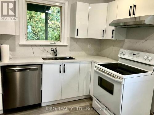 104 Steeles Avenue E, Markham, ON - Indoor Photo Showing Kitchen With Double Sink