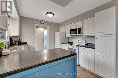 57 Hillier Crescent, Brantford, ON - Indoor Photo Showing Kitchen With Double Sink