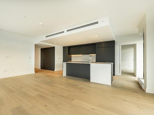 Overall view - 1505-1000 Rue André-Prévost, Montréal (Verdun/Île-Des-Soeurs), QC - Indoor Photo Showing Kitchen