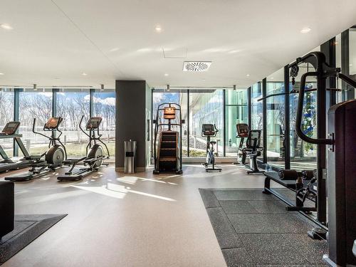 Exercise room - 1505-1000 Rue André-Prévost, Montréal (Verdun/Île-Des-Soeurs), QC - Indoor Photo Showing Gym Room