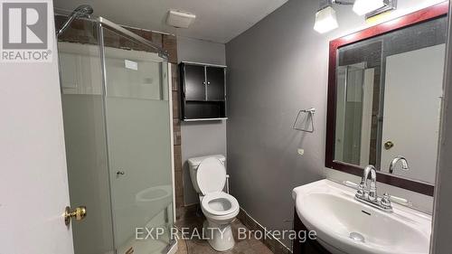 450 Drummerhill Crescent, Waterloo, ON - Indoor Photo Showing Bathroom