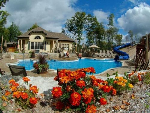 Piscine - 4-175 Rue Du Mont-Plaisant, Mont-Tremblant, QC - Outdoor With In Ground Pool With Backyard