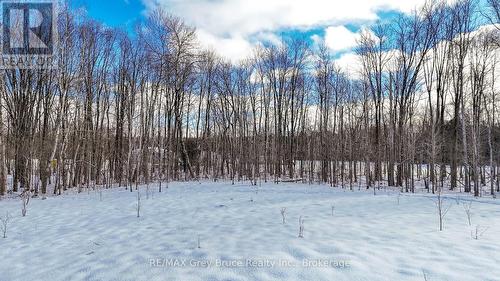 Ptlot25 Concession Road 6 Road, Chatsworth, ON 