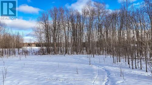 Ptlot25 Concession Road 6 Road, Chatsworth, ON 