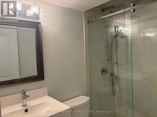 Lower - 8 Lochinvar Crescent, Toronto, ON - Indoor Photo Showing Bathroom