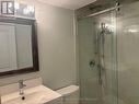 Lower - 8 Lochinvar Crescent, Toronto, ON  - Indoor Photo Showing Bathroom 