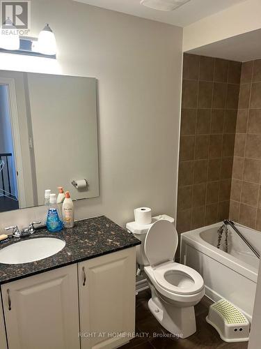 209 Hartsmere Drive, Ottawa, ON - Indoor Photo Showing Bathroom