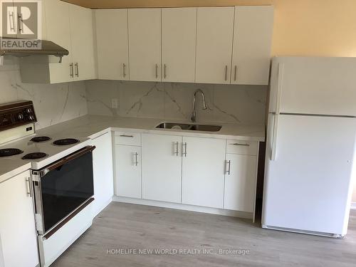 Bsmt - 2 Bramber Road, Toronto, ON - Indoor Photo Showing Kitchen With Double Sink