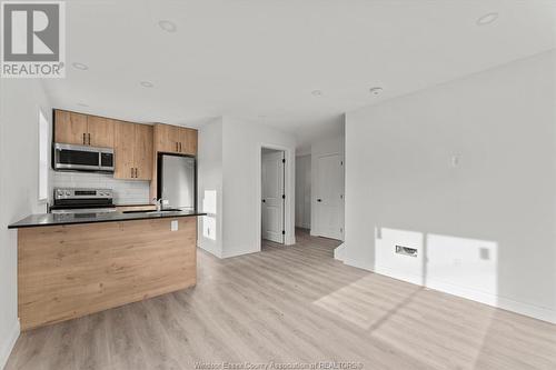 4782 Montgomery Drive Unit# C, Lasalle, ON - Indoor Photo Showing Kitchen