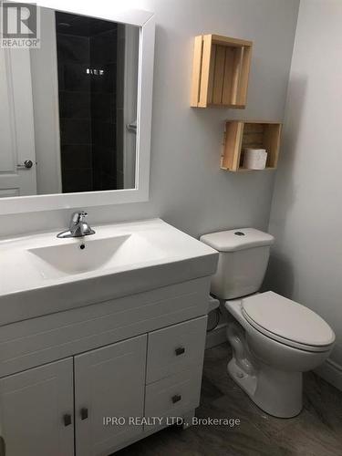 (Lower) - 981 Asleton Boulevard, Milton, ON - Indoor Photo Showing Bathroom