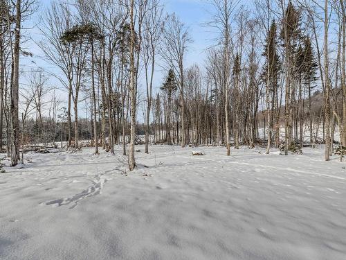 Terre/Terrain - 43 Mtée Du Grand-Pic, Lac-Beauport, QC - Outdoor With View