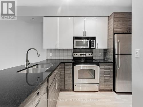 916 - 1005 King Street W, Toronto, ON - Indoor Photo Showing Kitchen With Double Sink With Upgraded Kitchen