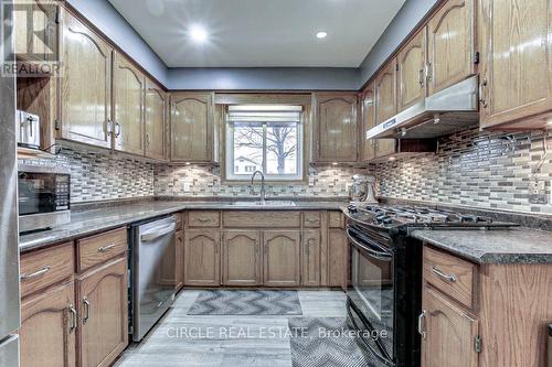 350 Lansdowne Avenue, Woodstock, ON - Indoor Photo Showing Kitchen With Upgraded Kitchen