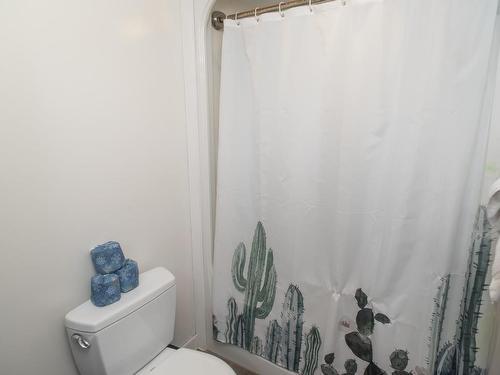 109 Bobcat Ave, Thunder Bay, ON - Indoor Photo Showing Bathroom