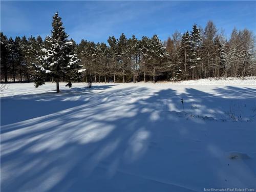 13 Des Mûres St, Saint-Quentin, NB 