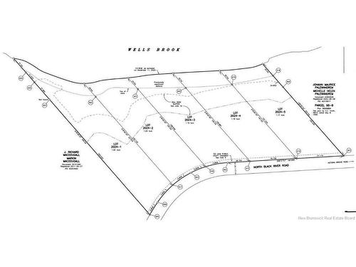 Lot 2024-2 North Black River Rd, Black River Bridge, NB 