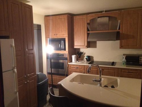 Cuisine - 95 Ch. D'Ixworth, Saint-Onésime-D'Ixworth, QC - Indoor Photo Showing Kitchen With Double Sink