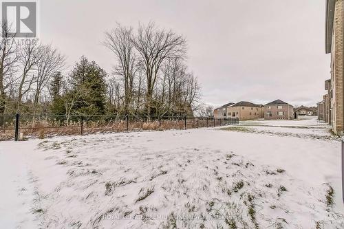 250 Chippewa Avenue, Shelburne, ON - Outdoor