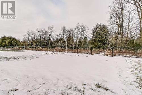 250 Chippewa Avenue, Shelburne, ON - Outdoor With View