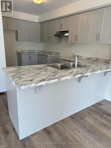 11 Dryden Lane, Hamilton, ON - Indoor Photo Showing Kitchen With Double Sink