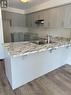 11 Dryden Lane, Hamilton, ON  - Indoor Photo Showing Kitchen With Double Sink 