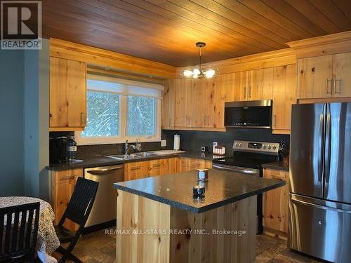 45 Lakewood Crescent, Kawartha Lakes (Bobcaygeon), ON - Indoor Photo Showing Kitchen With Double Sink