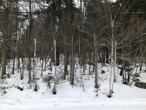 Autre - Ch. Des Pensées, Sainte-Anne-Des-Lacs, QC 
