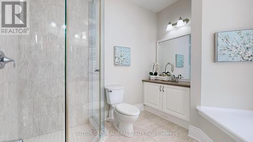 100 Virtue Crescent, Vaughan, ON - Indoor Photo Showing Bathroom