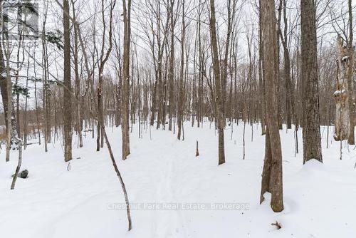 16 - 37 Silver Street, Huntsville (Chaffey), ON - Outdoor With View