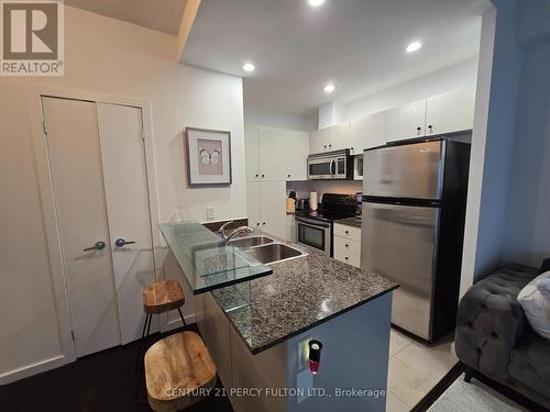 3401 - 208 Queens Quay W, Toronto, ON - Indoor Photo Showing Kitchen With Double Sink