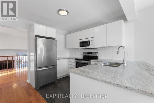 313 Knudson Drive, Ottawa, ON - Indoor Photo Showing Kitchen With Double Sink With Upgraded Kitchen