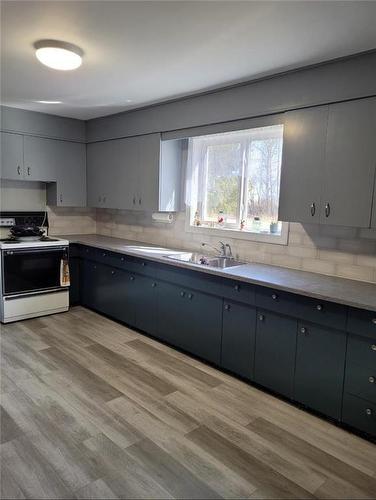 275 Highway & 165 Road, Swan River, MB - Indoor Photo Showing Kitchen With Double Sink