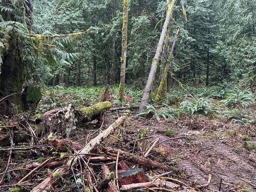 Lot B Thain Rd, Cobble Hill, BC 