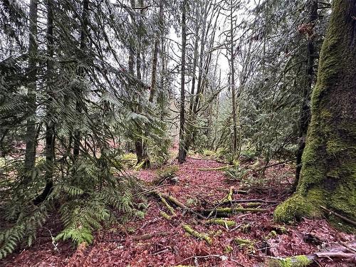 Lot B Thain Rd, Cobble Hill, BC 