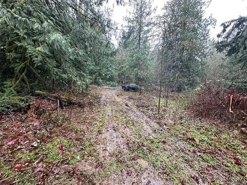 Lot B Thain Rd, Cobble Hill, BC 