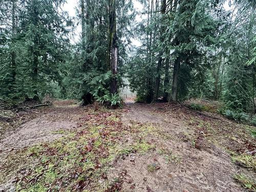 Lot B Thain Rd, Cobble Hill, BC 