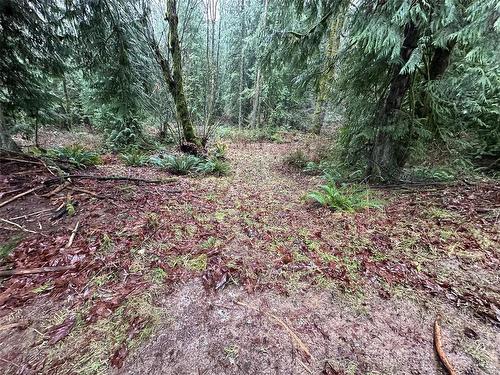 Lot B Thain Rd, Cobble Hill, BC 