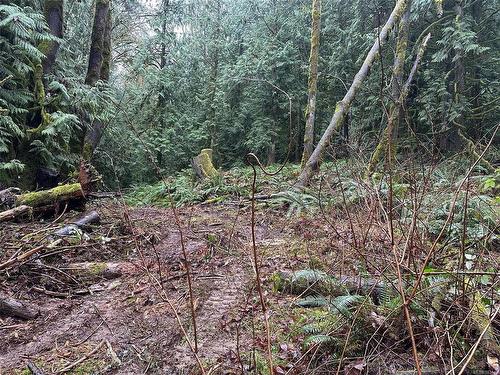 Lot B Thain Rd, Cobble Hill, BC 