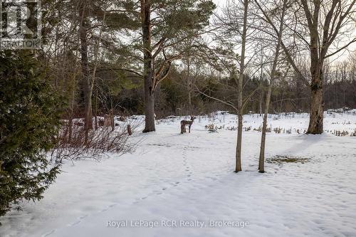 206 Crawford Road, Chatsworth, ON - Outdoor With View