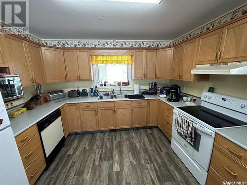 206 3Rd Avenue E, Nokomis, SK - Indoor Photo Showing Kitchen With Double Sink