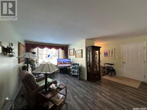 206 3Rd Avenue E, Nokomis, SK - Indoor Photo Showing Living Room