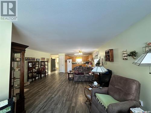 206 3Rd Avenue E, Nokomis, SK - Indoor Photo Showing Living Room