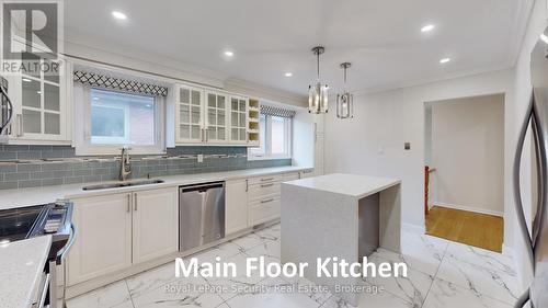 19 Radford Drive, Brampton, ON - Indoor Photo Showing Kitchen With Double Sink With Upgraded Kitchen