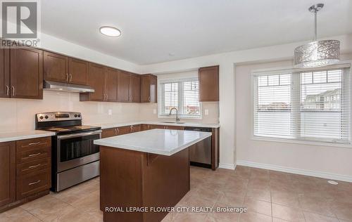 16 Quillberry Close, Brampton, ON - Indoor Photo Showing Kitchen With Upgraded Kitchen